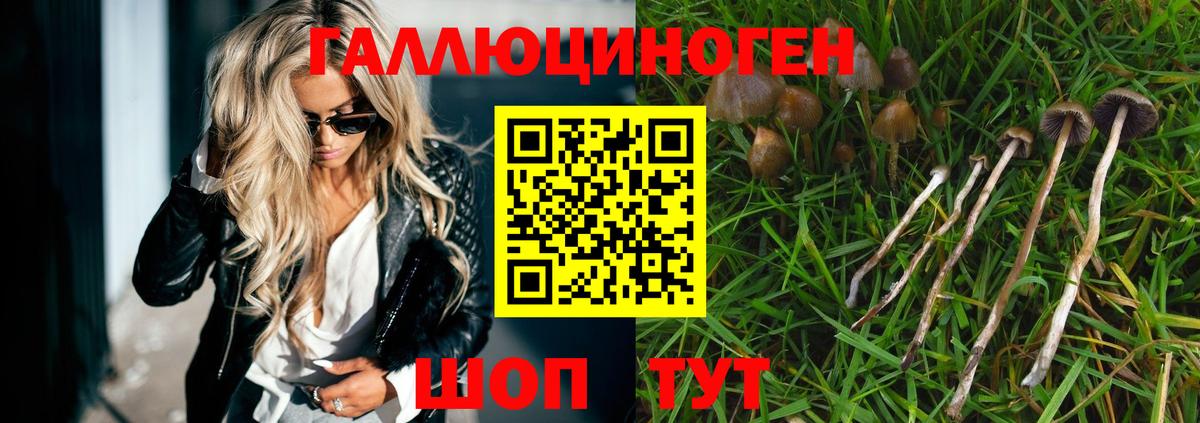 Качканар  закладка  Вход с VPN  Псилоцибиновые грибы ЛСД  Галлюциногенные грибы Psilocybe 